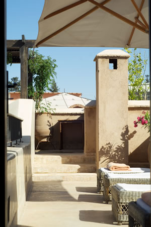 Dachterrasse - Ideen für Pflanzen und Gestaltung