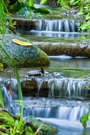 Bachlauf anlegen Pflanzen und Gestaltung mit und ohne Teich