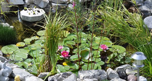 Gartenteich anlegen Anleitung zum Bauen