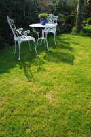 Rasenflecken - so werden Sie braune Flecken im Rasen los