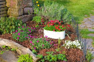 Blumenbeet anlegen Pflanzplan und Tipps zum Gestalten